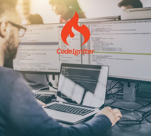 CodeIgniter Dedicated Developer