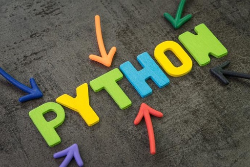 Python Dedicated Developer