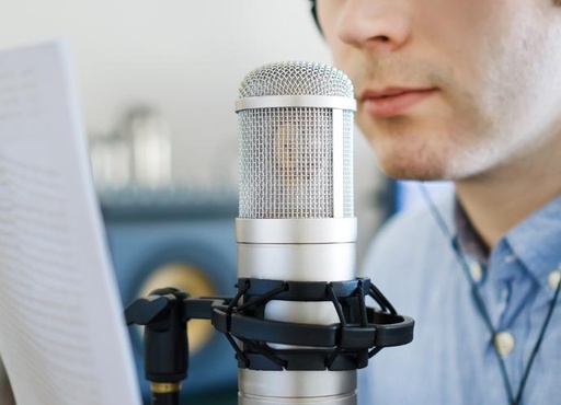 Video or Podcast Scripts